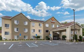 Comfort Suites Auburn In